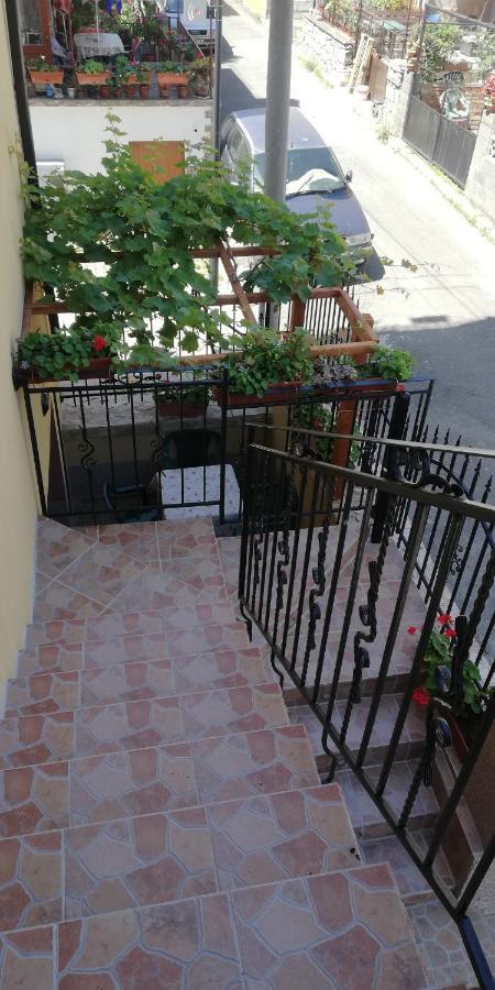 Guest House Ares Созополь Екстер'єр фото